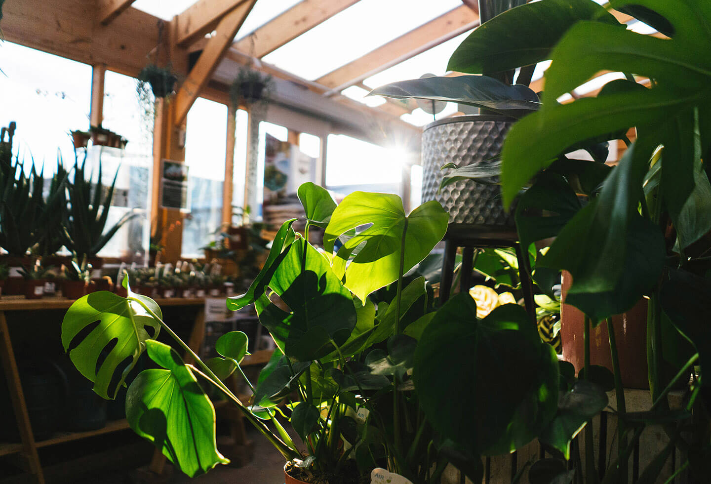 イメージフォト